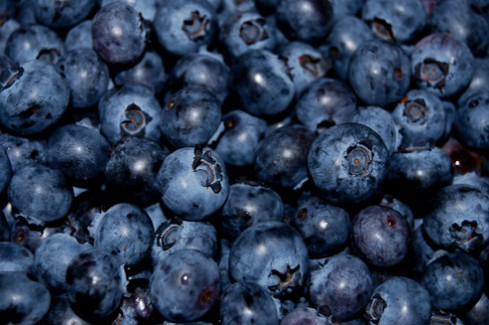 Poland is third in the world’s production blueberries – Link to Poland